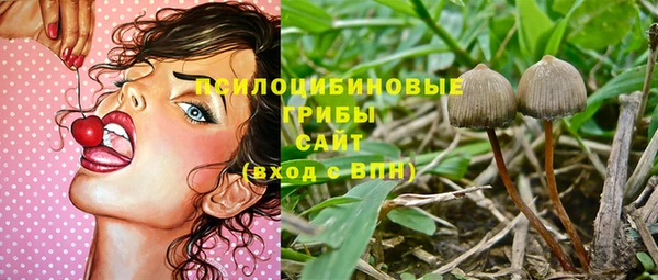2c-b Костерёво