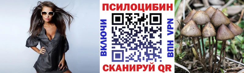 Псилоцибиновые грибы прущие грибы  купить закладку  Козельск 